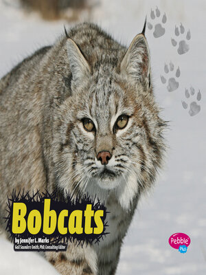 cover image of Bobcats